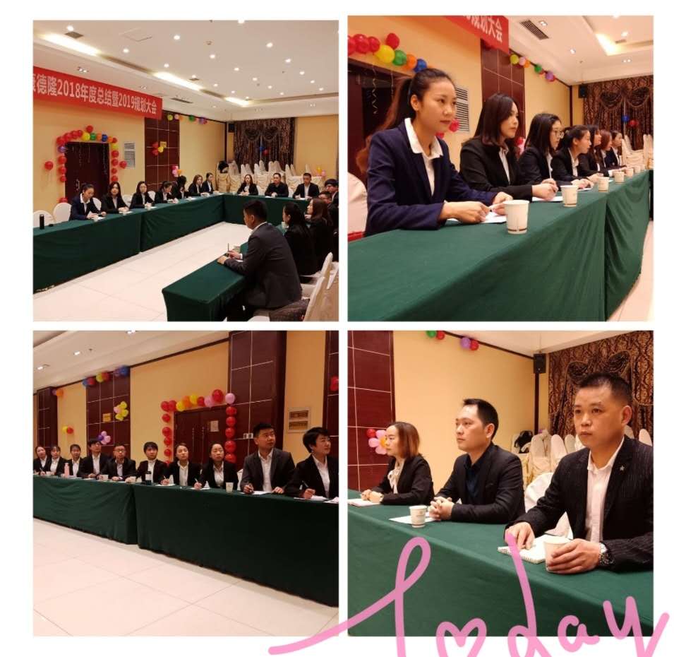創(chuàng)新發(fā)展 再創(chuàng)輝煌--德隆公司2018年度總結(jié)暨2019規(guī)劃大會(huì)圓滿(mǎn)召開(kāi)